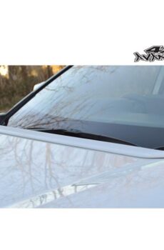 RAV4 MAXX・AXAH54 ワイパーガード【アヴァンツァーレ】