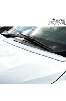 30系アルファード 後期 ボンネットスポイラー【アヴァンツァーレ】
